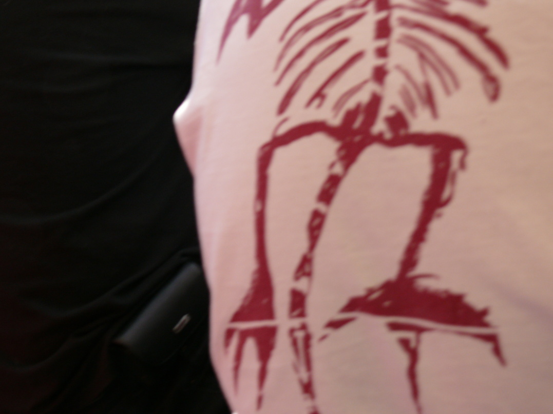 Kliknutím na obrázek okno zavřete